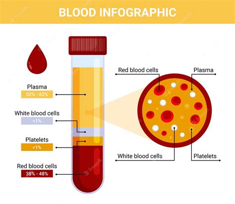 Premium Vector Blood Infographic Illustration Vector Blood Composition