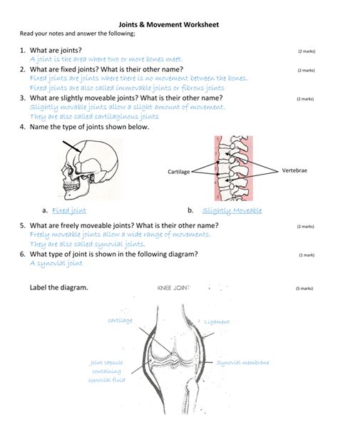 Have you ever seen fossil remains of dinosaur and ancient human bones in textbooks, television, or in person at a museum? Joints Worksheet Real Anatomy | Kids Activities