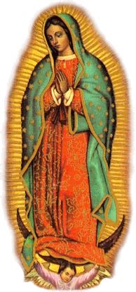 Página oficial del equipo de la primera división de costa rica. ZENIT: Science Stunned by Virgin of Guadalupe´s Eyes