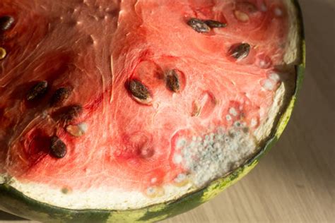 Rotten Watermelon Pics Stock Photos Pictures And Royalty Free Images