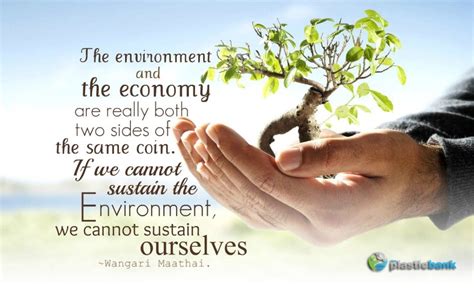 The Environment And The Economy Are Really Both Two Sides Of The Same