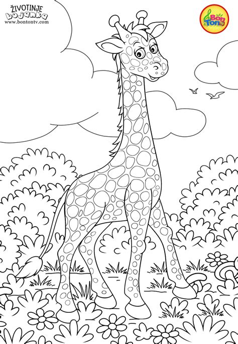Animals Coloring Pages For Kids Free Preschool Printables Životinje