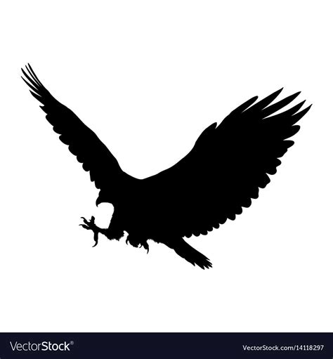 Eagle Flying Silhouette Isolated On White Vector Image
