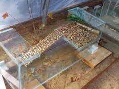 Good basking idea, need something like this for my turtles, they keep 