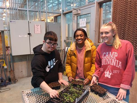 Ut Launches New Horticultural Therapy Program Institute News