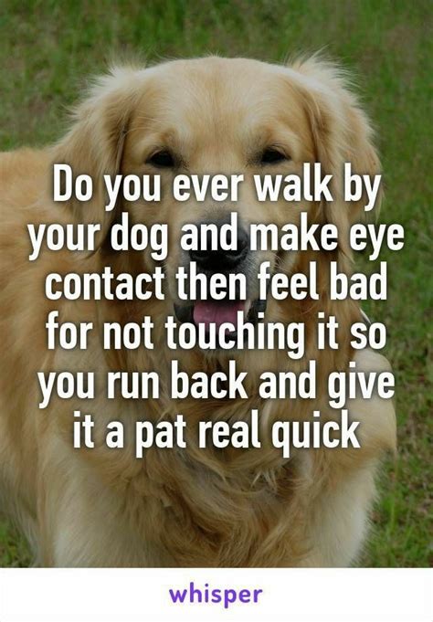 Pin By Justin On Dogs Funny Dogs Dog Love Dog Quotes
