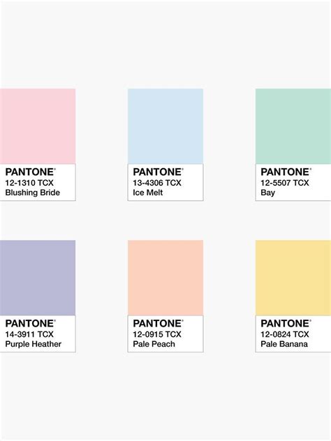 Pastel Color Palettes Muted Rainbow Color Palette Pastel Pallete