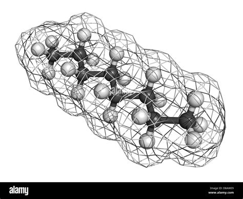 Octane Hydrocarbon Molecular Model Atoms Are Represented As Spheres