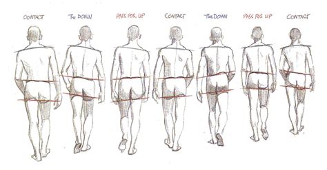 Walking Poses Animation Reference Drawing Poses
