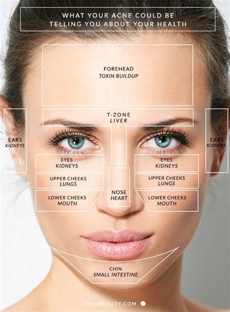 Figuring out what causes acne can be a tough case to crack, but preventing breakouts just takes a little detective work. Chinese Face Mapping Skin Analysis | Face mapping, Skin ...
