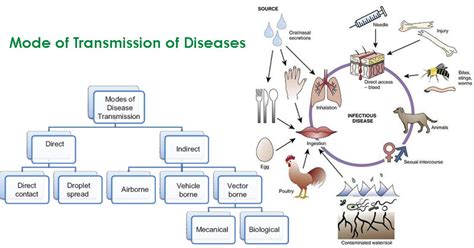 Mode of Transmission of Diseases | Epidemiology | Microbe Notes