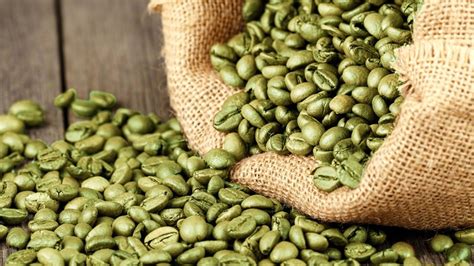 8 Benefits Of Green Coffee Bean Extract A Miraculous Elixir
