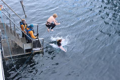 How To Do A Polar Plunge Swoop Antarctica Blog