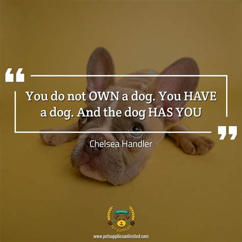 You Do Not Own A Dog You Have A Dog And The Dog Has You Quote By