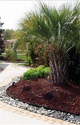 Pictures of Rock Landscaping Tips