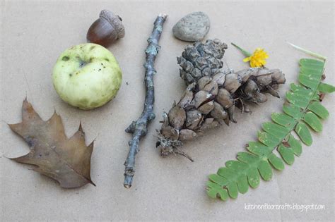 Kitchen Floor Crafts Nature Objects Sink Or Float Exploration