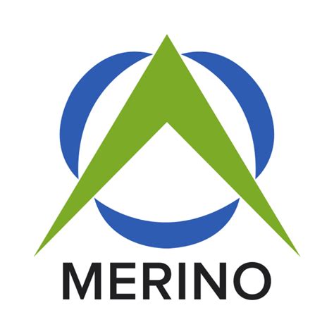 Merino Consulting Services Incubathor