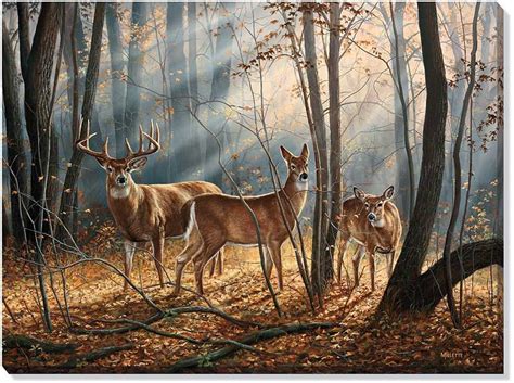 The Art Of Deer Deer Art Wildlife Art Deer Painting