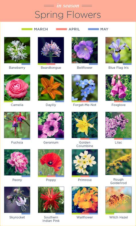 14 Colour Names List Ideas Flower Names Types Of Flowers Flower Guide