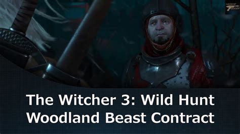 The Witcher 3 Woodland Beast Contract Youtube