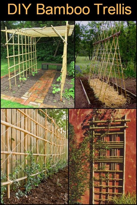 Diy Bamboo Trellis Bamboo Trellis Bamboo Garden Backyard Garden