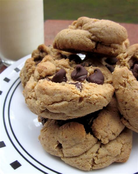 Frankies Foods Chewy Buttery And Tasty Low Fat Chocolate Chip Cookies