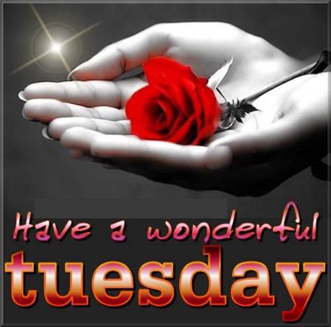 Have A Wonderful Tuesday Pictures Photos And Images For Facebook