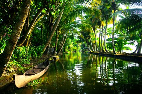 Kerala Tourism Hits New Highs In 2018 Despite Floods