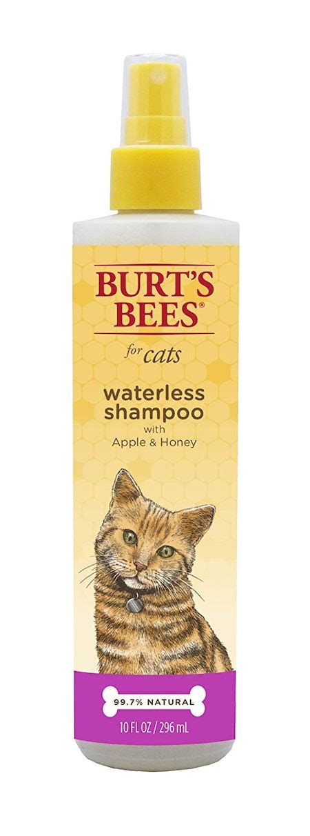 the 3 best waterless cat shampoos