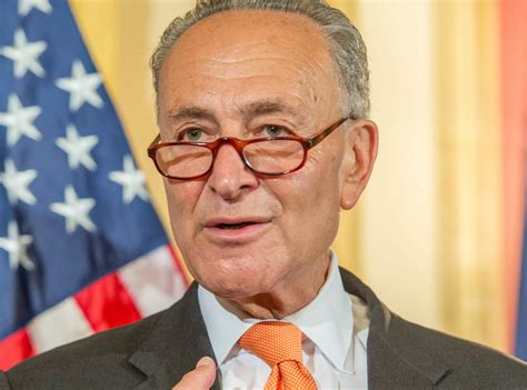 This is a criticism of a public figure. Chuck Schumer Under Fire After NYC Terrorist Attack for ...