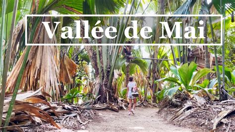 Vallée De Mai Nature Reserve In Praslin Seychelles 4k Youtube