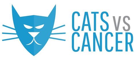 Fighting Cancer With Cat Videos The Unique Mission Of Cats Vs Cancer