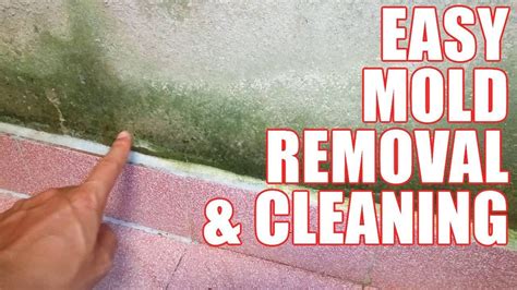 Lawrence kass 1.275 views1 year ago. How to Get Rid of Mold in House - Cleaning & Removing Mold ...