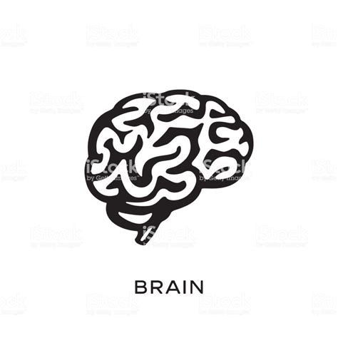 Actualizar más de dibujos del cerebro humano última tienganhchobe edu vn