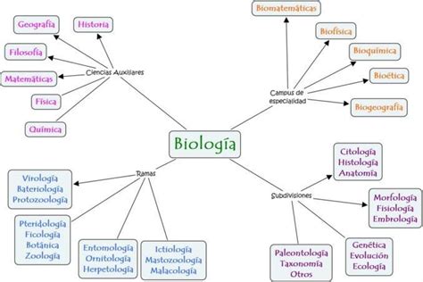 Top imagen mapa mental de la biología y sus ramas Viaterra mx