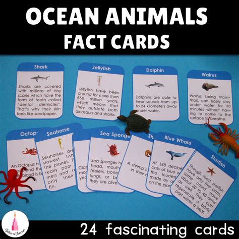 Ocean Animals Fact Cards Animal Facts Ocean Animals Facts