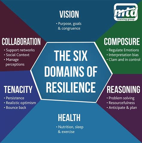 The Six Domains Of Resilience Emotional Resilience What Is