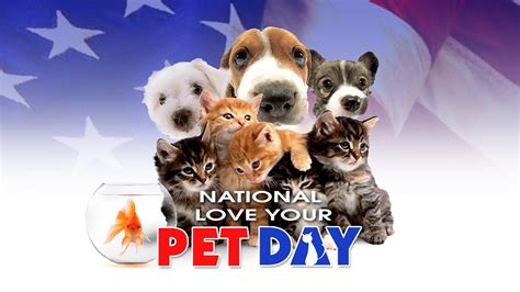 This holiday focuses on giving extra attention to our pets. National Pet Parents Day 2019 | Qualads
