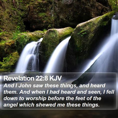 Revelation 228 Kjv And I John Saw These Things And Heard Them And