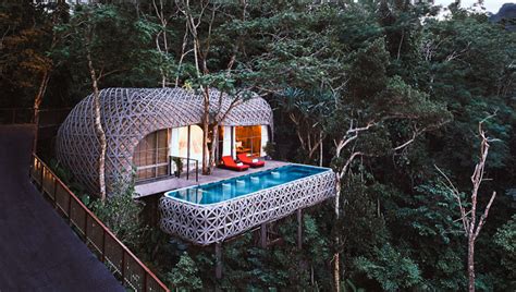 10 ที่พัก บ้านต้นไม้ ในไทย รีสอร์ทน่าไปในฝัน