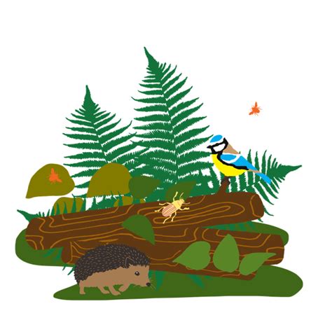 Dans cette dernière, il est possible de se mettre en relation. Biodiversité - J'installe des abris pour les animaux dans ...