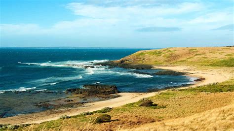 10 Top Things To Do In Phillip Island 2021 Attraction And Activity Guide