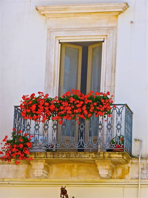 Free Images Blossom House Flower Window Wall Floral Balcony