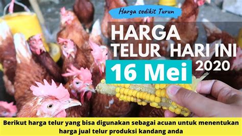 Harga telur sudah turun sekarang sepapan hanya rp 55 ribu, jika sebelumnya mencapai rp 58 ribu, kata dani seorang pedagang pasar pusat perbelanjaan mentaya … Harga Telur Ayam Hari Ini 16 Mei 2020 - YouTube