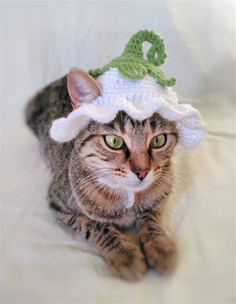 Flower Fairy Hat For Cat Flower Pet Costumehalloween Pixie Etsy Canada