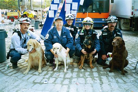 Penn Vets Share Stories Of Working Dogs At Ground Zero After 911