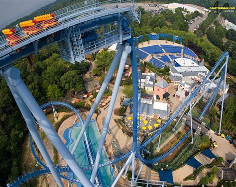 Griffon Busch Gardens Williamsburg Va Love This Coaster They Let