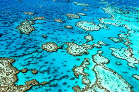 Take A Soothing Virtual Trip To The Great Barrier Reef With Sir David