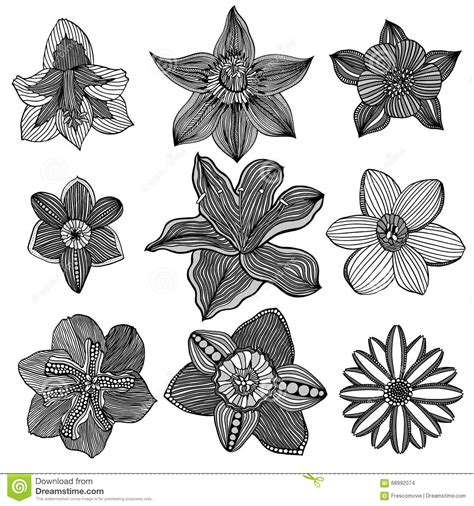 Monochrome Abstract Doodle Flowers Stock Vector Illustration Of