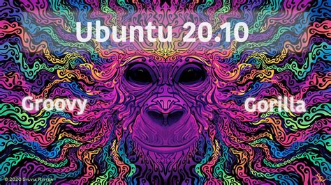 Ubuntu 2010 Groovy Gorilla Enters Feature Freeze Beta Expected On